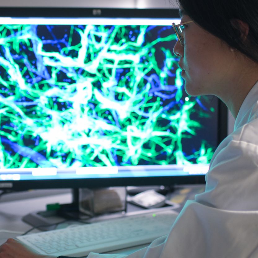 A person in lab clothing looks at a monitor showing luminous structures in shades of blue and green.