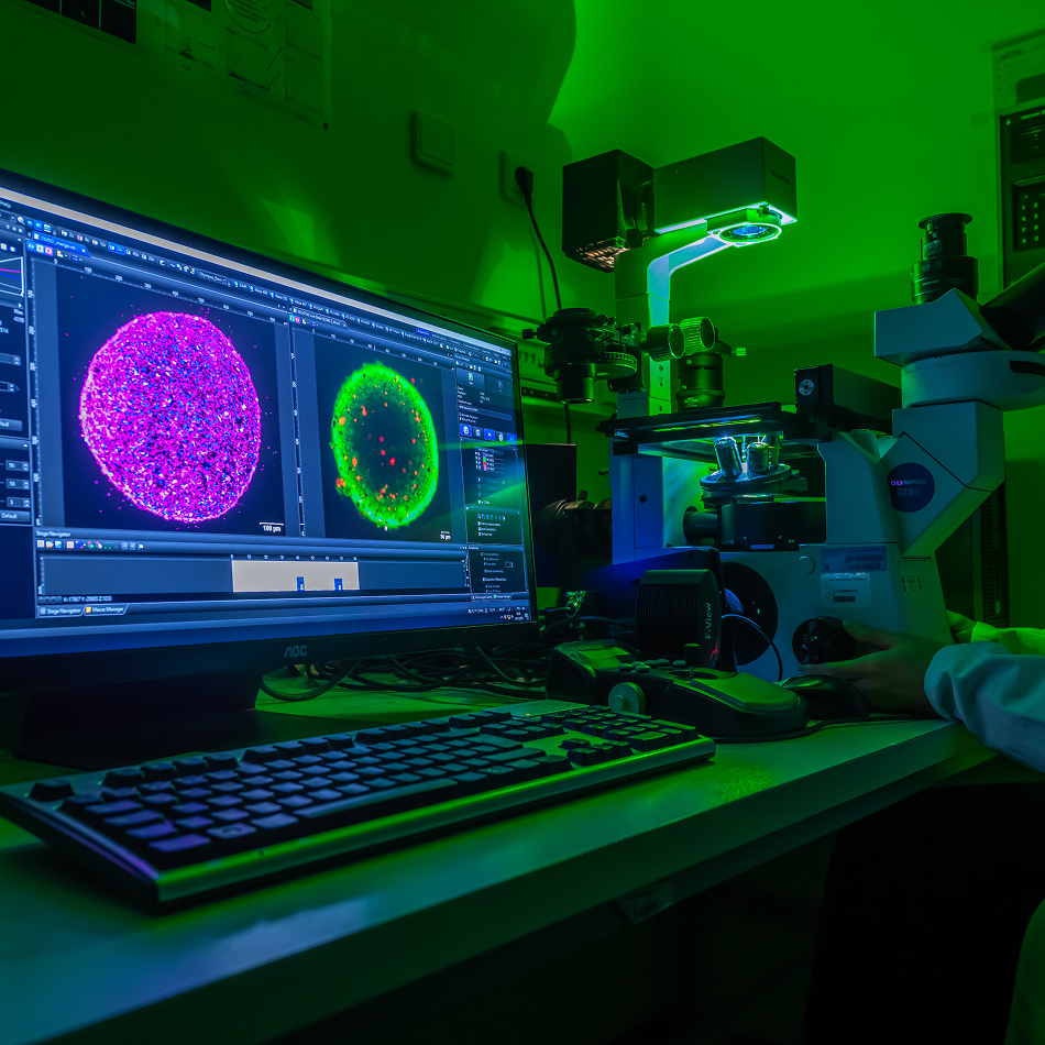 A microscopy workstation in green light with a microscope and monitors displaying cell images.